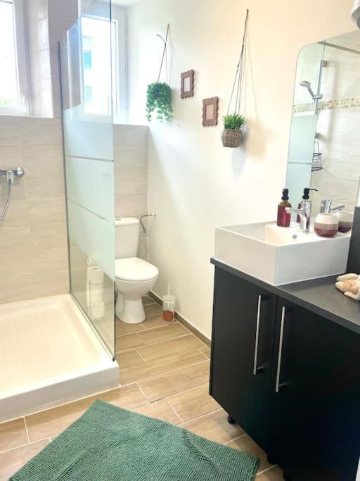 Logement Cosy Et Jardin Saint-Laurent-en-Royans エクステリア 写真